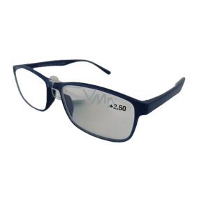 Berkeley Reading dioptric glasses +2.5 plastic blue MC2269