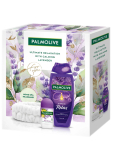 Palmolive Lavender Anti-Stress antiperspirant roll-on 50 ml + Relax shower gel 500 ml + headband, cosmetic set for women