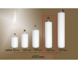 Lima Gastro plain candle white cylinder 60 x 220 mm 1 piece