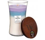 WoodWick Vanilla & Sea Salt - Vanilla and sea salt scented candle with  wooden wick and lid glass small 85 g - VMD parfumerie - drogerie