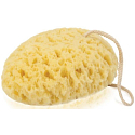 Donegal Bath sponge natural with cord 15 x 11 x 5 cm 1 piece