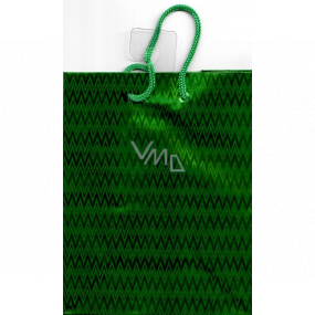 Nekupto Gift paper bag hologram standard 10 x 33 cm Green THLH