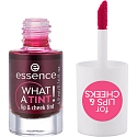 Essence What a Tint! Lip Gloss and Blush 01 Kiss From a Rose 4.9 ml