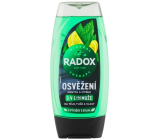 Radox Men 3in1 Refreshment Menthol and citrus shower gel for men 225 ml