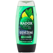 Radox Men 3in1 Refreshment Menthol and citrus shower gel for men 225 ml