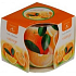 Essences of Life Orange aromatic candle in glass 100 g