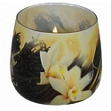 Essences of Life Vanilla aromatic candle in glass 100 g