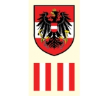 Arch tattoo decals on face and body Austria flag 2 motif