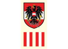 Arch tattoo decals on face and body Austria flag 2 motif