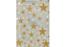 Ditipo Gift Paper Bag Glitter Gray, Gold Stars 26.4 x 13.6 x 32.7 cm QAB