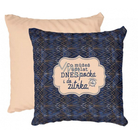 Nekupto Cosy home What you can do today, can wait until tomorrow pillow 40 x 40 cm