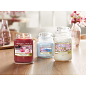Yankee Candle Majestic Mount Fuji - Majestic Mount Fuji scented candle Classic large glass 623 g