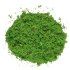 Moss in green 87 g in bag