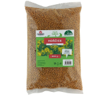 Rosteto Mustard seed for green manure 800 g