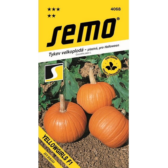 Semo Gourd creeping Yellowgirls F1 for Halloween 3 g