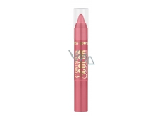 MS Color Pencil Lip Pencil Cant Stop 101 5317
