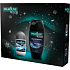 Palmolive Men Refreshing 3 in 1 shower gel for body, face and hair 250 ml + Pure Arctic antiperspirant roll-on 50 ml, cosmetic set