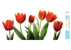Arch Year-round sticker, window film without adhesive Red tulip strip 35 x 16 cm
