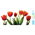 Arch Year-round sticker, window film without adhesive Red tulip strip 35 x 16 cm