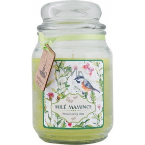 Bohemia Gifts Dear mother scented gift candle in glass burning time 105-120 hours 510 g