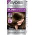 Syoss Gloss Sensation Gentle hair color without ammonia 6-1 Praline brown 115 ml
