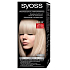 Syoss Professional hair color 10-1 Extra light pure blonde
