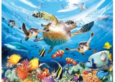 Prime3D Poster - Ancient Water Turtle - The sea turtle journey 39.5 x 29.5 cm