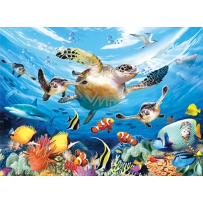 Prime3D poster Water turtle - the path of a sea turtle 39.5 x 29.5 cm
