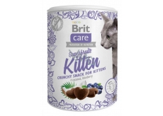 Brit Care Cat Snack Crispy chicken treat with scythe and blueberry supplementary food for kittens, from 6 weeks of age 100 g