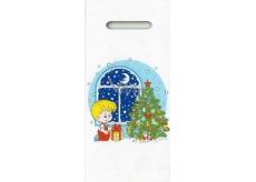 Nekupto Plastic Bag Boy with tree 40 x 18 cm 012 LB