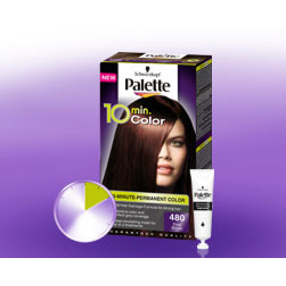 Schwarzkopf Palette 10 minutes Color hair color 480 Maroon