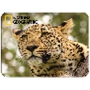Prime3D magnet - Leopard 9 x 7cm