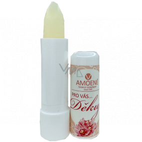 Amoené Lip balm with the scent of blackberries SPF15 4.2 g