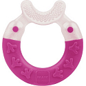 I have a Bite & Brush teether with extra soft bristles, 1 piece, various colors.