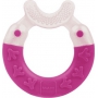 I have a Bite & Brush teether with extra soft bristles, 1 piece, various colors.