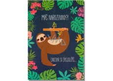 Albi Greeting Card - Lenochod
