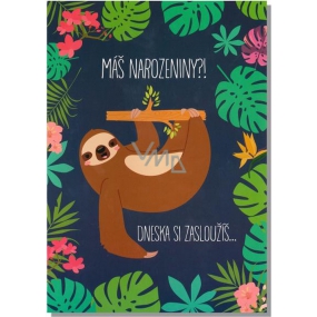 Albi Envelope Playing Card Happy Birthday Sloth Lazy Song 14.8 x 21 cm