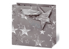 BSB Gift Paper Bag 23 x 19 x 9 cm VDT 411 - CD