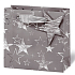 BSB Luxury gift paper bag 23 x 19 x 9 cm Winter coatings VDT 411 - CD