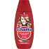Schauma Color Shine shampoo for coloured, tinted and highlighted hair 350 ml