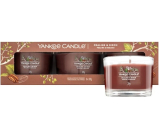 Yankee Candle Praline & Birch - Praline and birch scented votive candle in glass 3 x 37 g, gift set