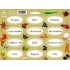Arch Stickers for Spice Jars Jute Chromolithography Semolina - Completing the Kitchen Basics (rice, sugars,...)