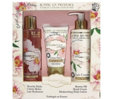 Jeanne en Provence Pivoine Féérie - Peony fairy hand cream 75 ml + body lotion 250 ml + shower oil 250 ml, cosmetic set