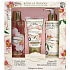 Jeanne en Provence Pivoine Féérie - Peony fairy hand cream 75 ml + body lotion 250 ml + shower oil 250 ml, cosmetic set