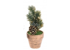 Decoration of Christmas twig in flower-gold pot