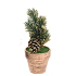 Decoration Christmas tree in a pot gold 17 x 6.5 x 6.5 cm