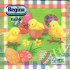 Regina Paper Napkins 1-ply 33 x 33 cm 20 pieces Easter Green with Chicks and Eggs