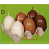 Lima Egg with scent candle light brown 40 x 60 mm 1 piece