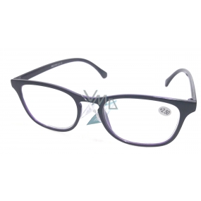 Berkeley Optical Frames +2,5 Black-Purple 1 piece MC2145
