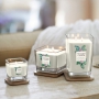 Yankee Candle Exotic Bergamot - Exotic Bergamot Soy Scented Candle Elevation Small Glass 1 Wick 96 g